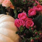 October/November Around the Garden in Tanglewood-Horticultural Report